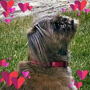 Meet your Posher, Kathy